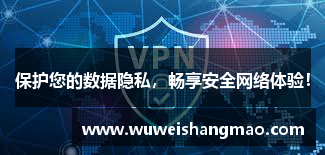 保护您的数据隐私，畅享安全网络体验！