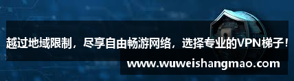 越过地域限制，尽享自由畅游网络，选择专业的VPN梯子！